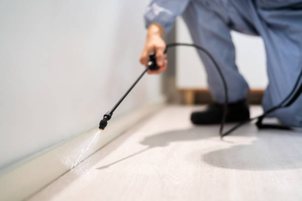 Rodent Entry Point Assessment in Farmersville