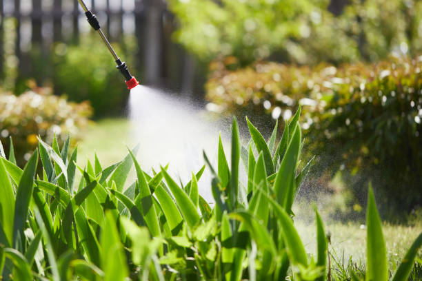 Tamper-Resistant Bait Stations for Rodents in Farmersville