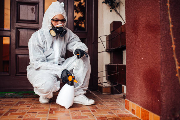 Attic and Crawl Space Rodent Treatment in Farmersville