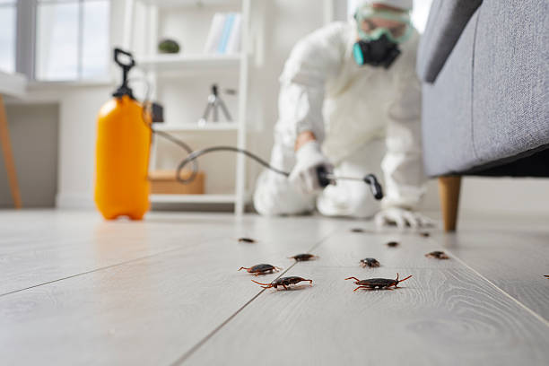 Commercial Rodent Management in Farmersville